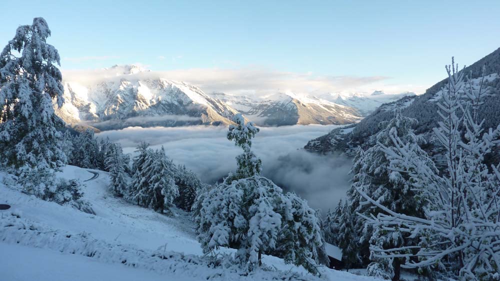 La vue